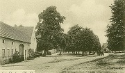Blick ins Dorf – lang gestreckt und von Linden gesäumt. Dominierend die große Linde (links) vorm Gasthaus, die Ende der 50er Jahre gefällt wurde.